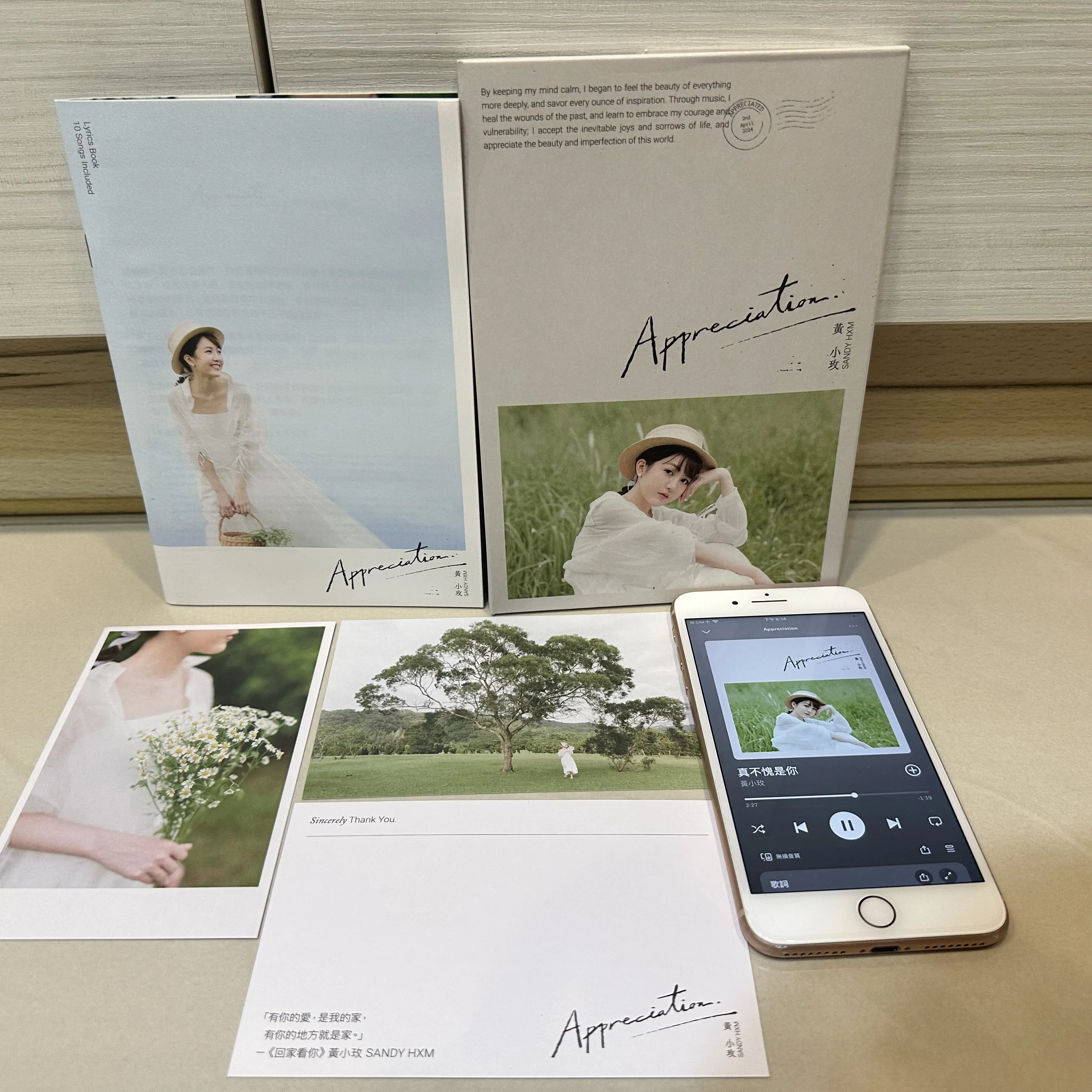 Featured image of post 專輯購買紀錄 - Appreciation